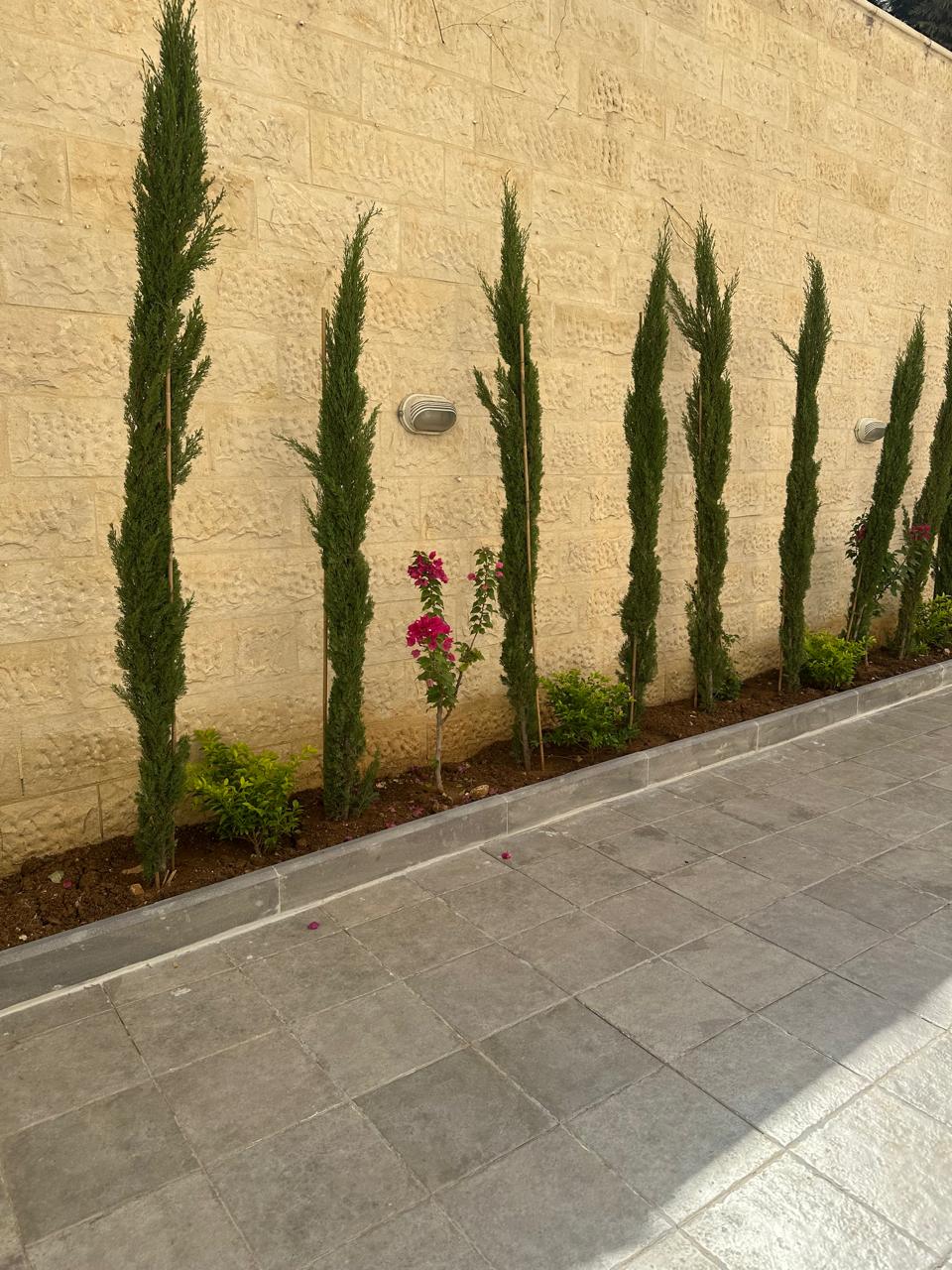 Luxury Super Deluxe Apartment for Sale in a Prime Location – Marj Al-Hamam - Property Image 6